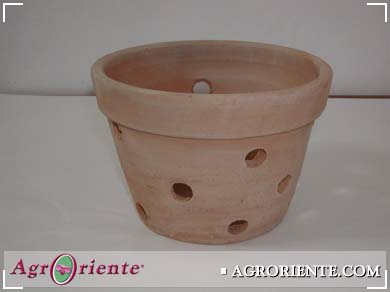 Suministros y Accesorios - 